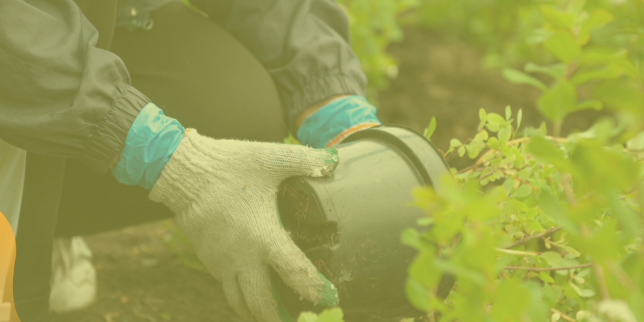 A kiadvány címlapja: Hogyan tedd zöldebbé, hűsebbé az otthonod?