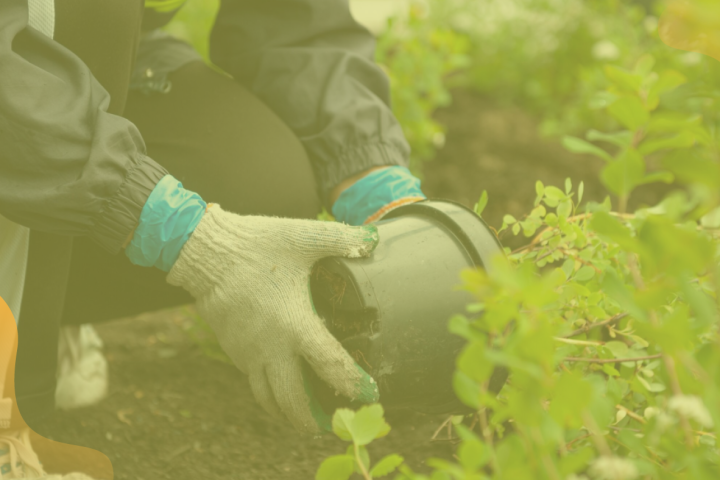 A kiadvány címlapja: Hogyan tedd zöldebbé, hűsebbé az otthonod?